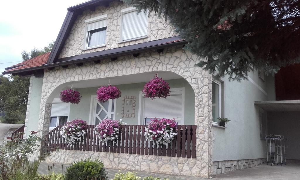 Guesthouse Miha ราโควิซา ภายนอก รูปภาพ